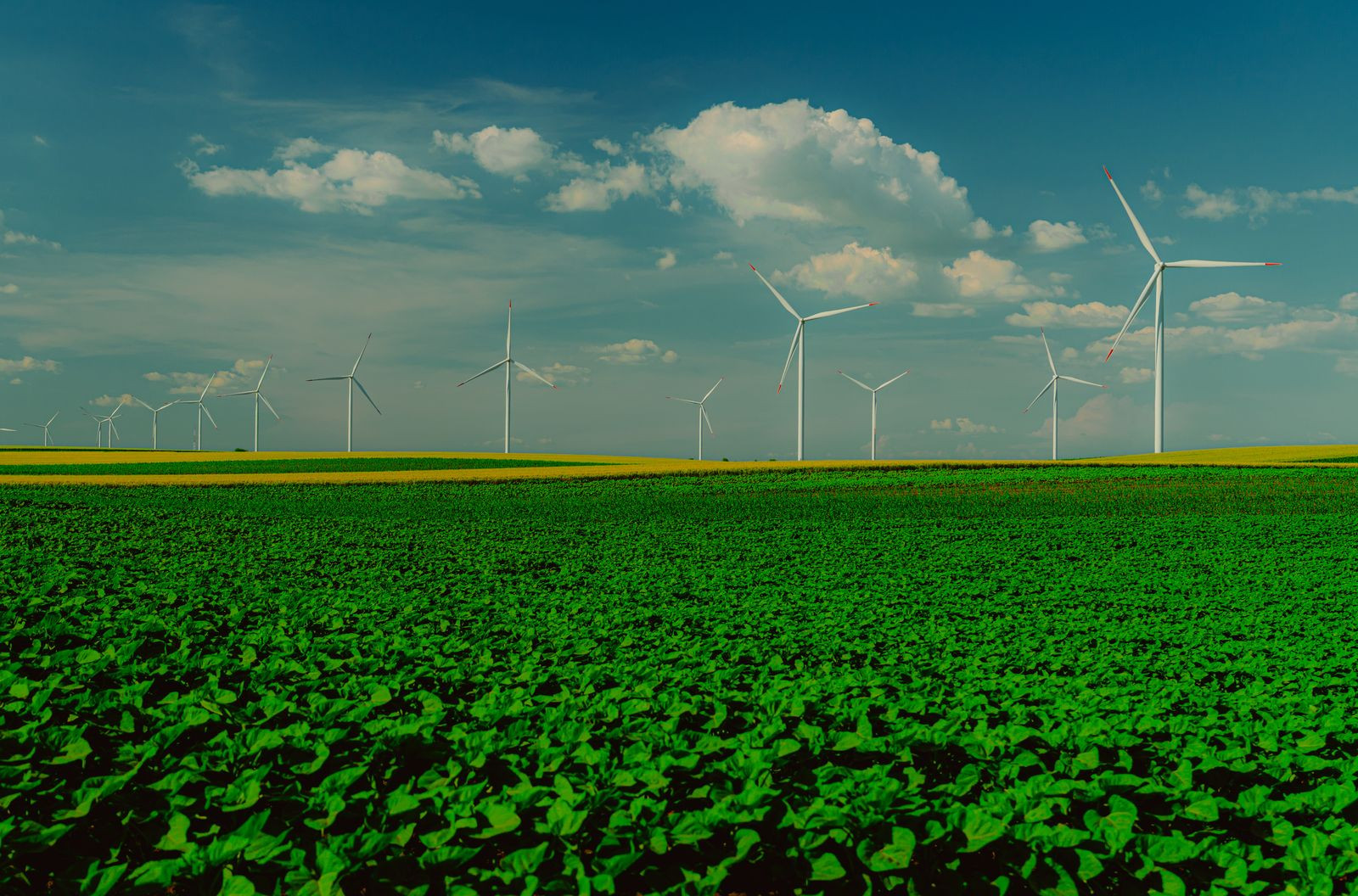 Photo illustrant la formation « Transition climatique & financement carbone »